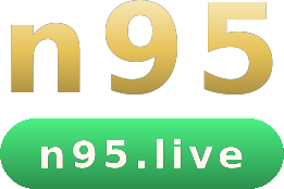 n95 logo